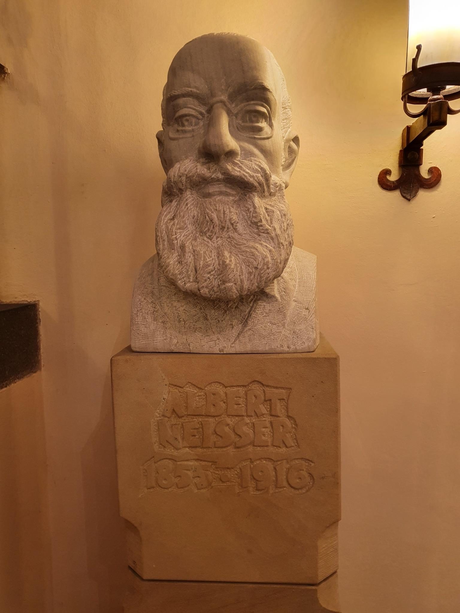 Albert Neisser's bust, Wroclaw's Town Hall (1).jpg